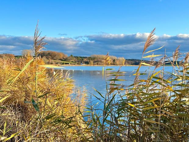 Carmen Radtour Putbus-Veranstaltung