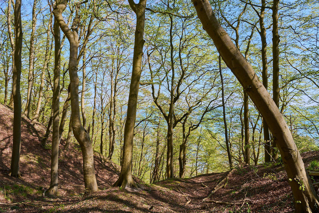 20230508-Granitz-13-Foto-Burwitz-Pocha