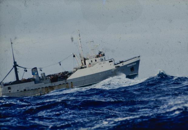 Reportage zur Fangflotte