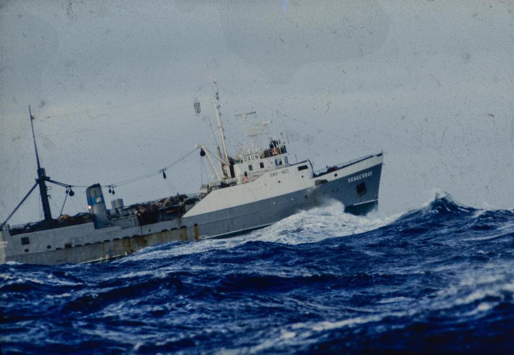 Reportage zur Fangflotte