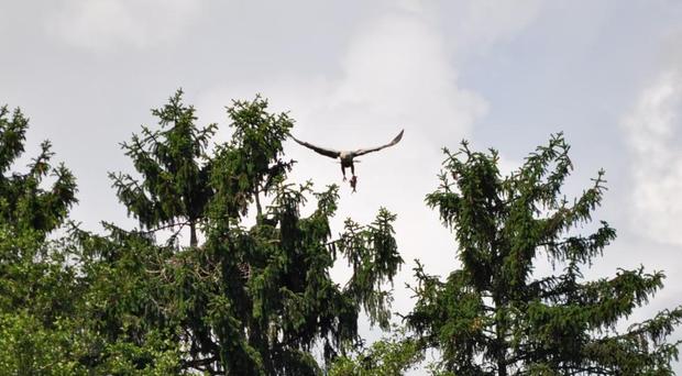 seeadler-tour-boots-berg-3