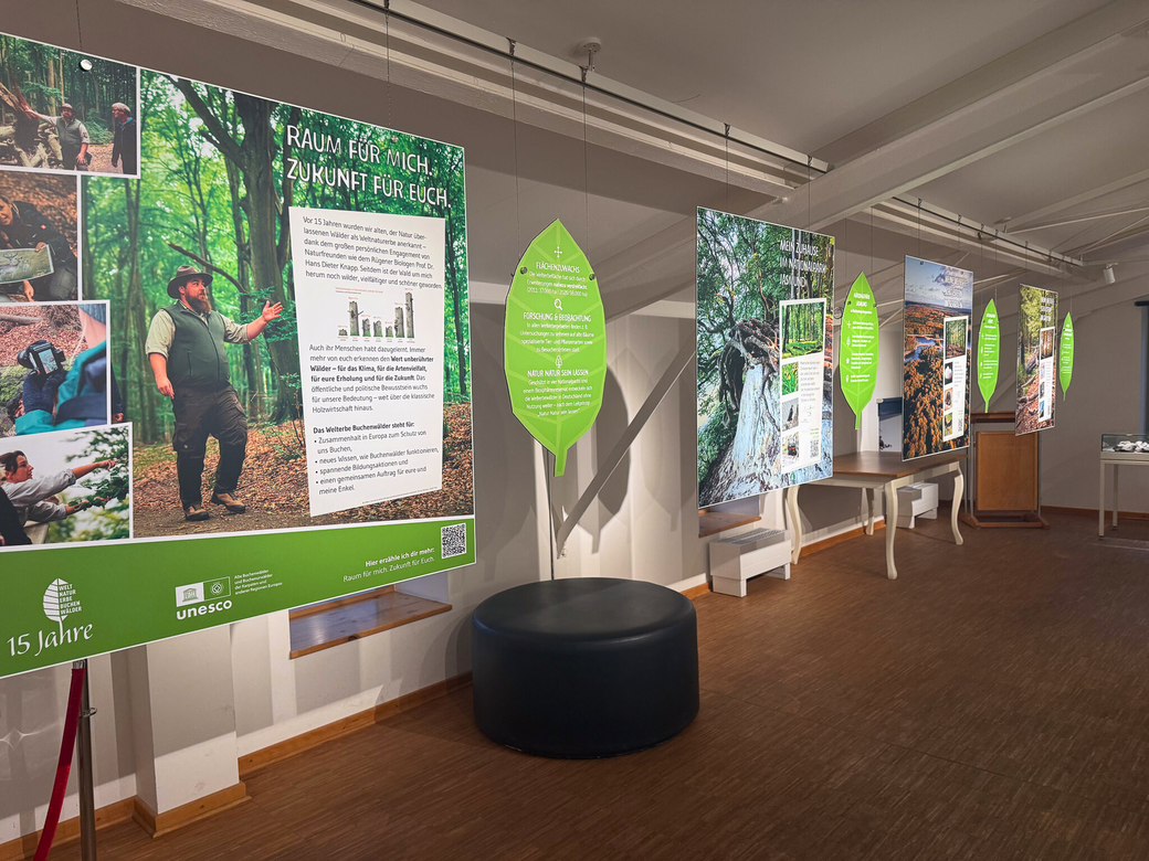 Sonderausstellung, 15 Jahre Alte Buchenwälder