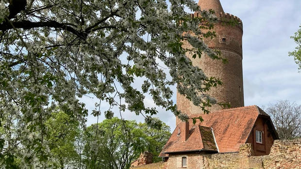 Burganlage in Burg Stargard