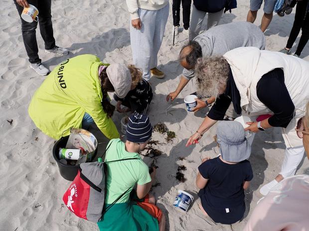 Strandführung zum Tag der Robben