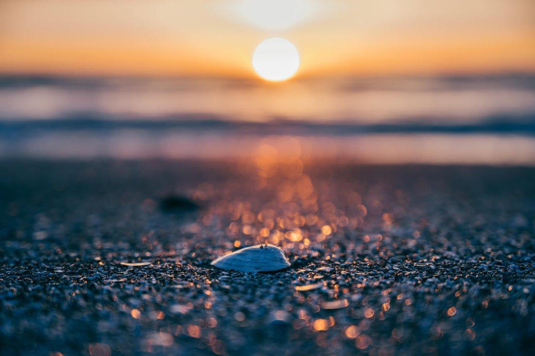 Strandfunde - Kreativwerkstatt am Meer