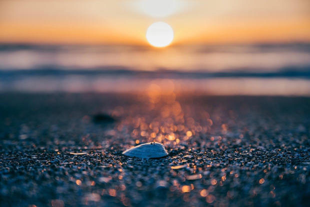 Strandfunde - Kreativwerkstatt am Meer