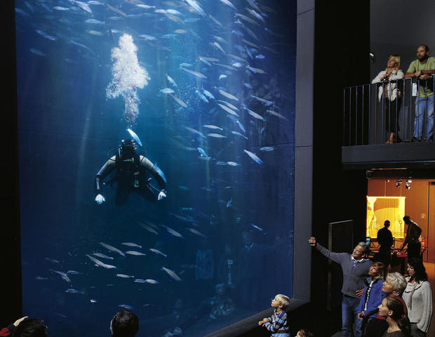 aquarium_1287408943_1