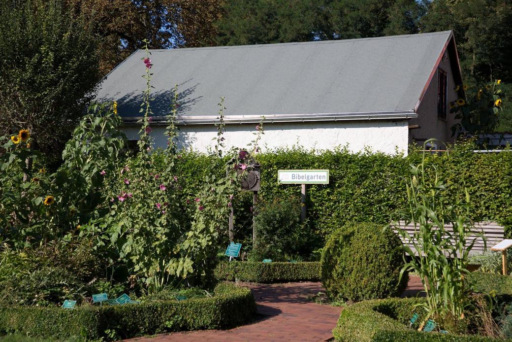 Bibelgarten