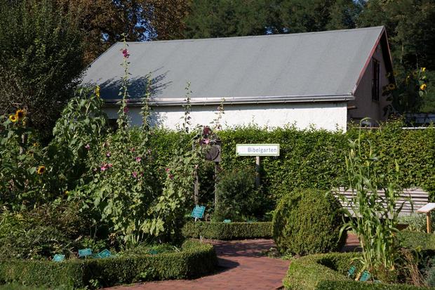 Bibelgarten
