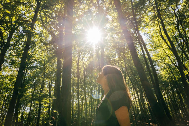 Waldbaden: Shinrin Yoku