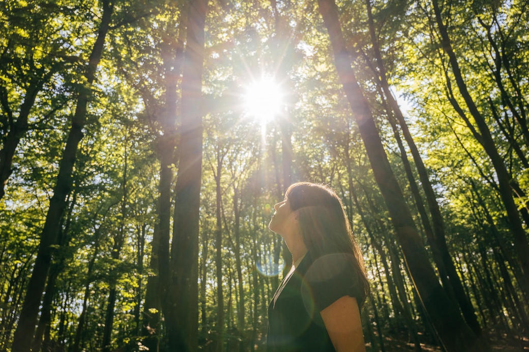Waldbaden: Shinrin Yoku
