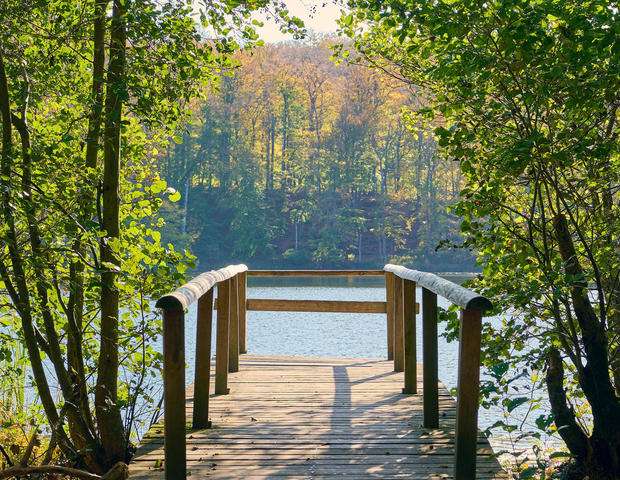 20221020-Schwarzer-See-1-Foto-Burwitz-Pocha