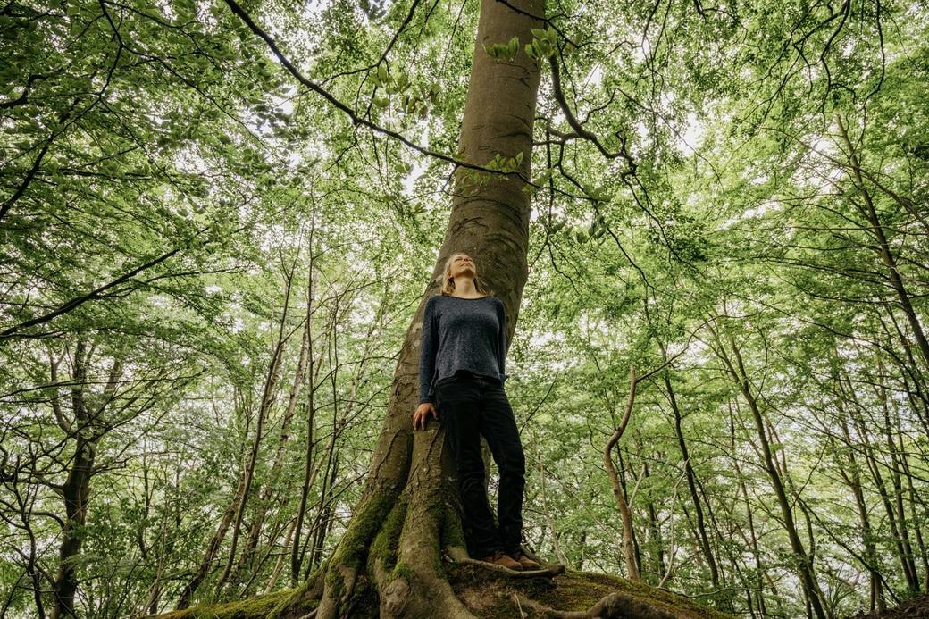 Wanderung: Die Heilkraft des Küstenwaldes