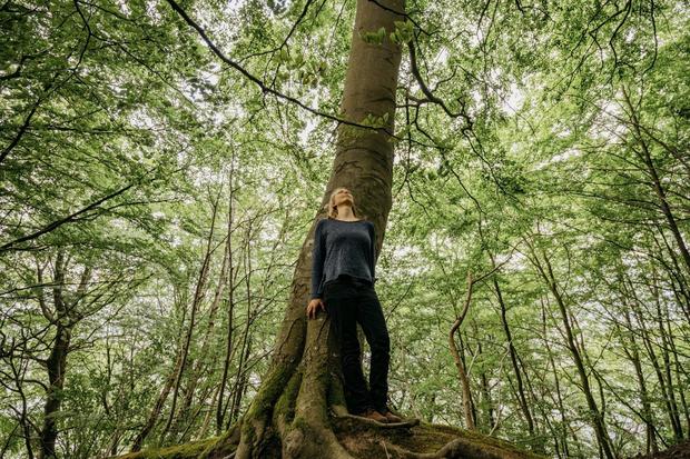 Wanderung: Die Heilkraft des Küstenwaldes