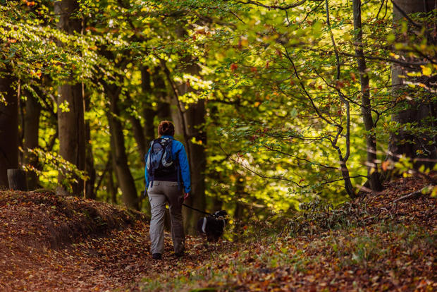 Wanderung: Mit dem Hund unterwegs