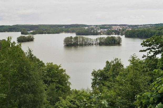 Sicht auf den Feldberger Haussee vom Reiherberg aus