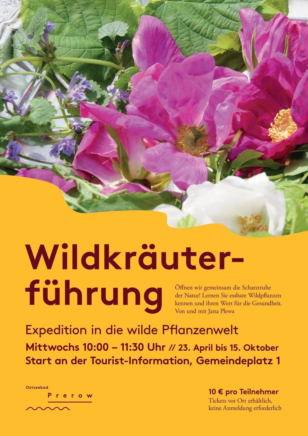 JanaPlewa_Wildkraeuterfuehrung-1