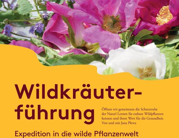 JanaPlewa_Wildkraeuterfuehrung-1