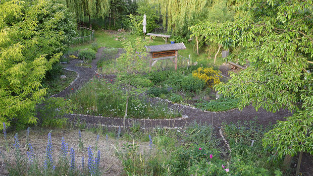 Wildpflanzengarten Waren