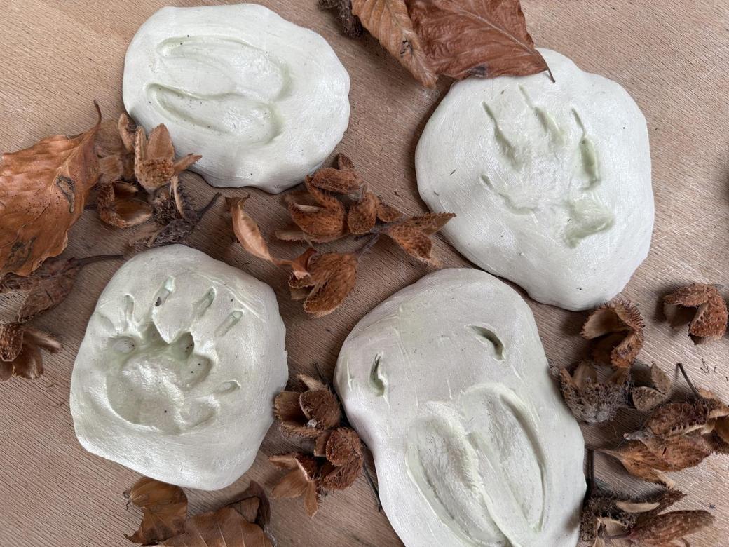 Winter-Werkstatt Tierspuren