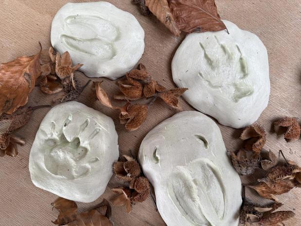 Winter-Werkstatt Tierspuren