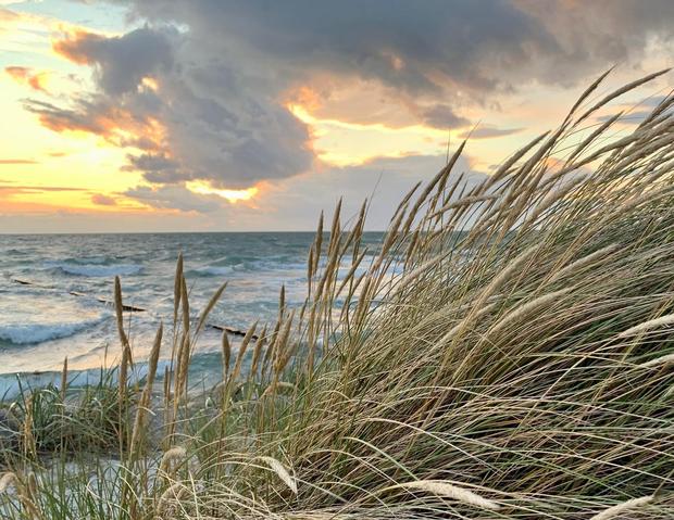 Ostsee und Strandhafer - K.Bärwald