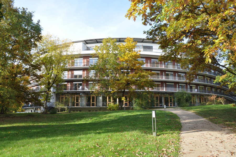 reha mit hund orthopädie