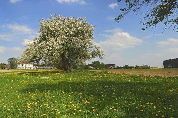 Rehabilitation Clinic »Garder See« 